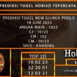 PREDIKSI TOGEL NEWGUINEA POOLS 18 JUNI 2025