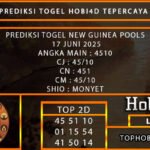 PREDIKSI TOGEL NEWGUINEA POOLS 17 JUNI 2025