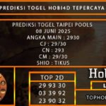 PREDIKSI TOGEL TAIPEI POOLS 08 JUNI 2025