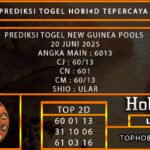 PREDIKSI TOGEL NEWGUINEA POOLS 20 JUNI 2025